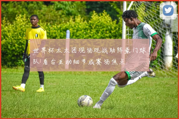 世界杯太太团现场观战助阵豪门球队 看台互动细节成赛场焦点