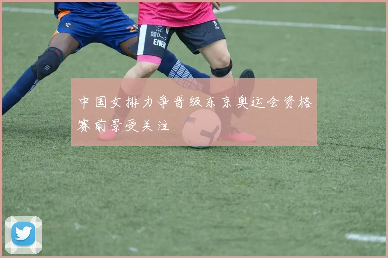 中国女排力争晋级东京奥运会资格赛前景受关注
