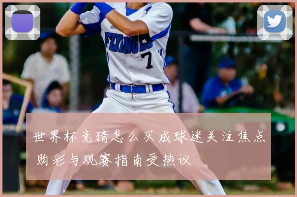 世界杯竞猜怎么买成球迷关注焦点 购彩与观赛指南受热议