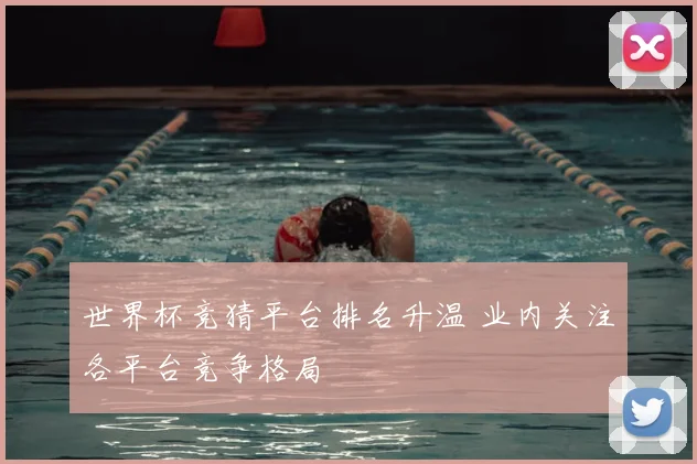 世界杯竞猜平台排名升温 业内关注各平台竞争格局